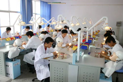 長春醫(yī)學高等專科學校2019年單獨招生簡章