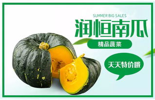 哈爾濱潤(rùn)恒城精品菜 新鮮直供，最低0.4元/斤，盡享舌尖上的美味