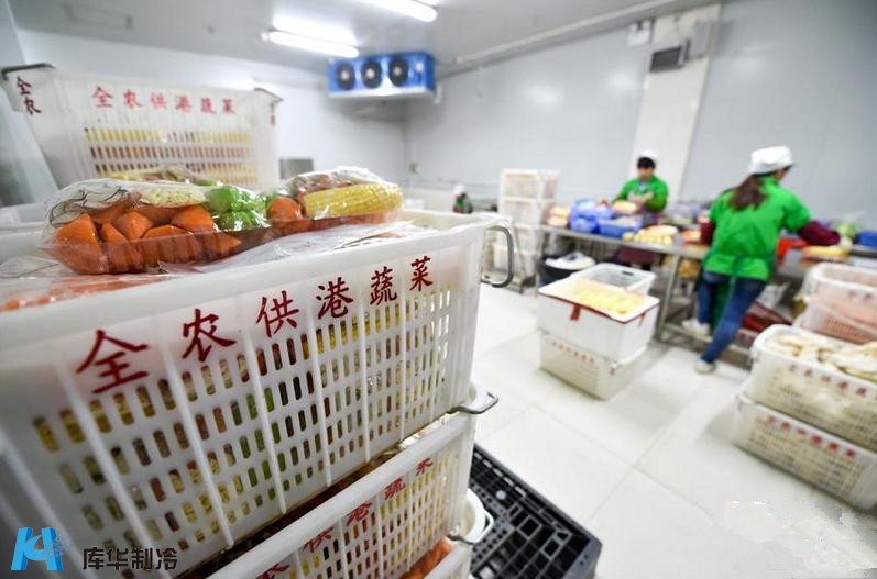 冷鏈先行，鮮達(dá)香江 解碼供港蔬菜85%份額背后的冷庫(kù)工程精髓